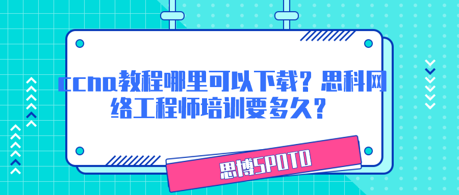 ccna配置域名命令