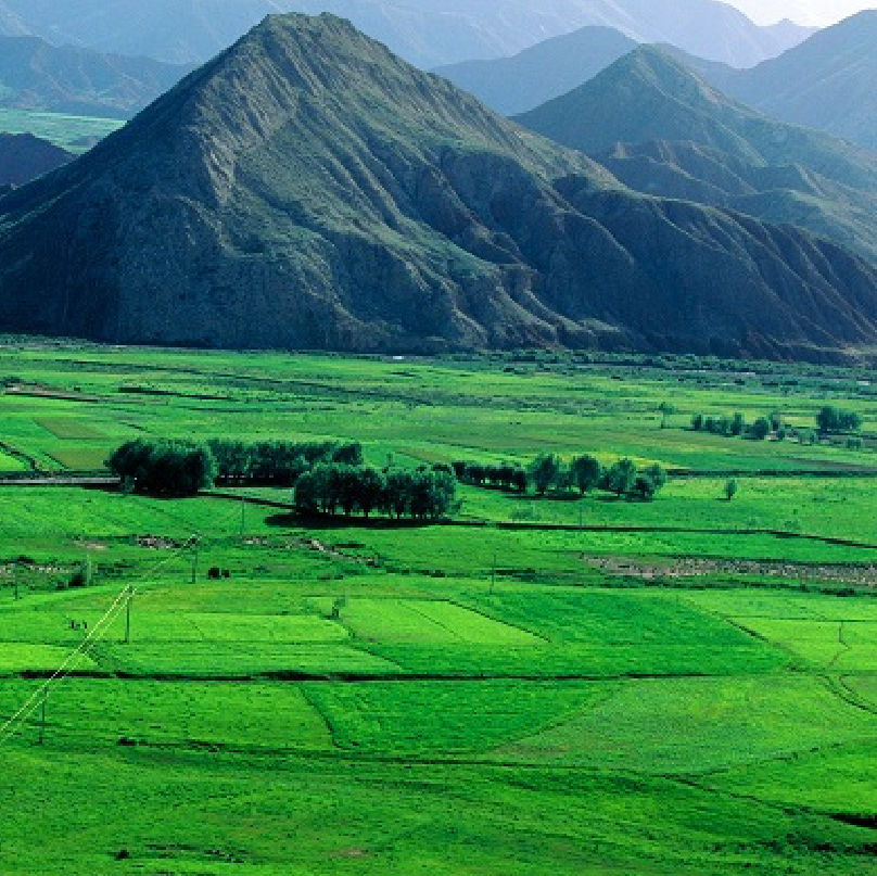 阿克苏建设网站公司