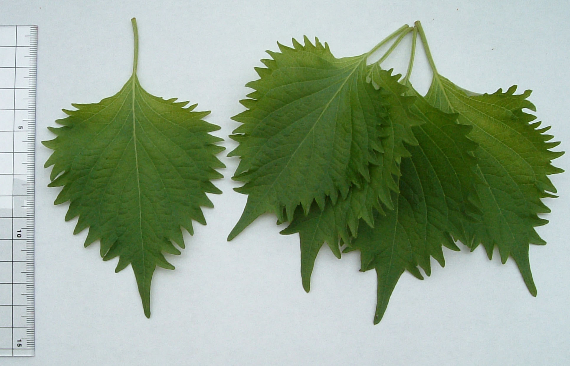 滁州备案制招聘