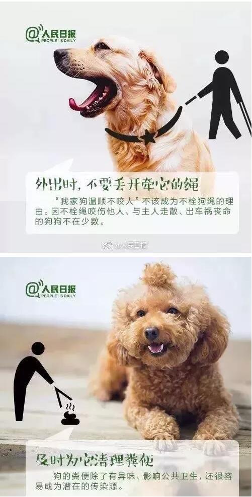 大岭山养狗备案不