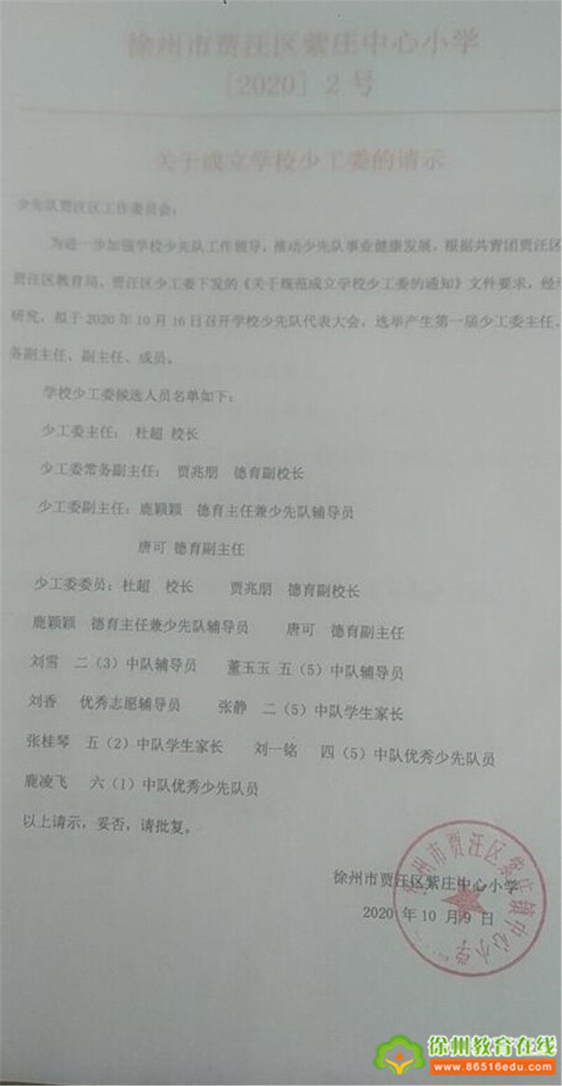 关于调整少工委主任的备案说明