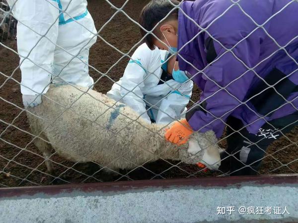畜牧兽医人员如何备案