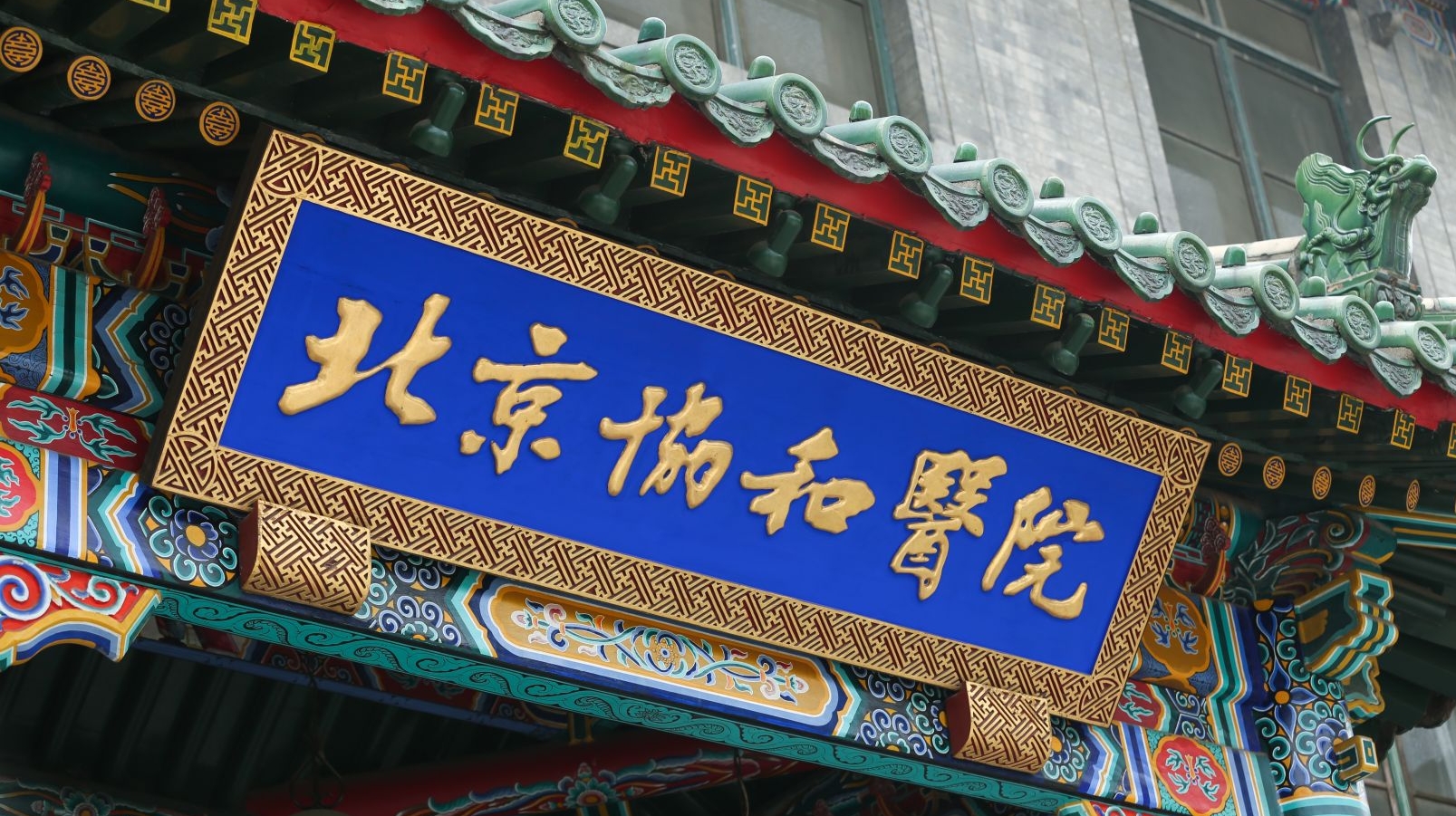 协和医院官网药品备案查询
