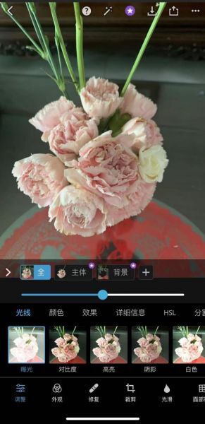 ps主机手机软件