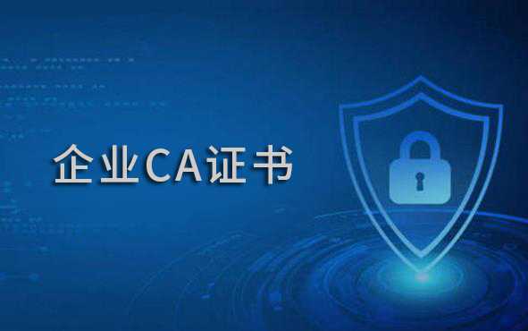 使用ca证书如何进行用工备案