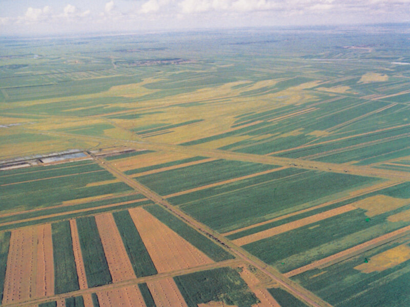 平原网站建设维护