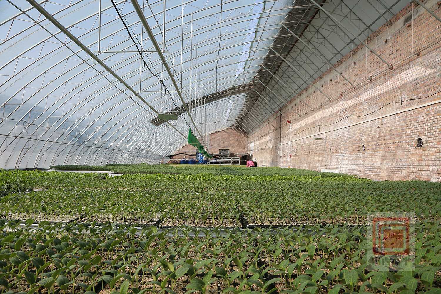 大棚建设工程验收消防备案代办处