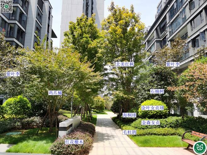 马安中海阅江府备案价