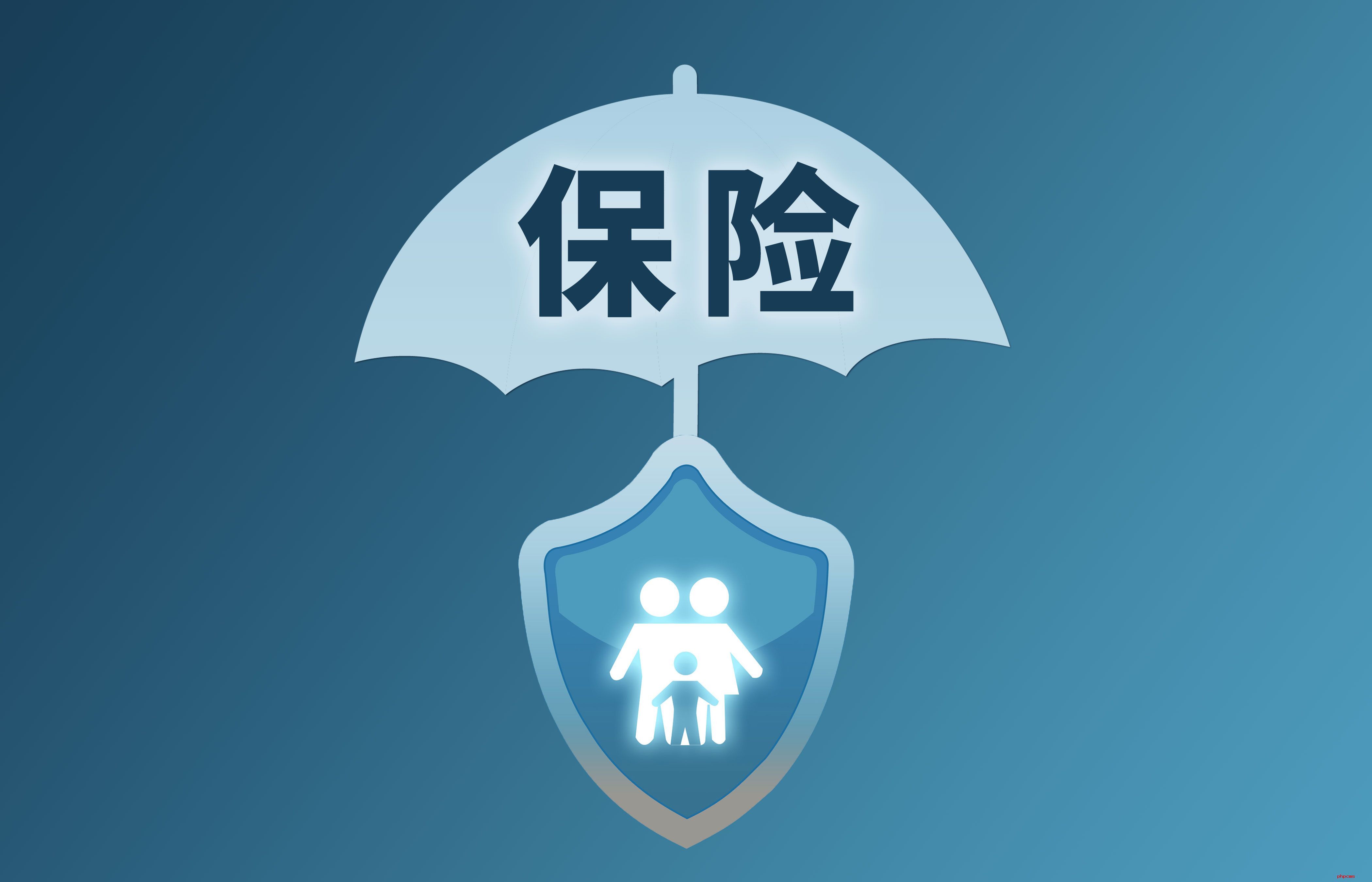 保险杠贴饰品需要备案吗