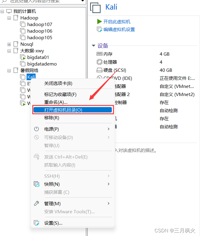 此主机不支持嵌套虚拟化