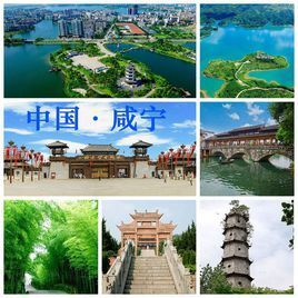 咸宁市有自己的域名怎么建立网站