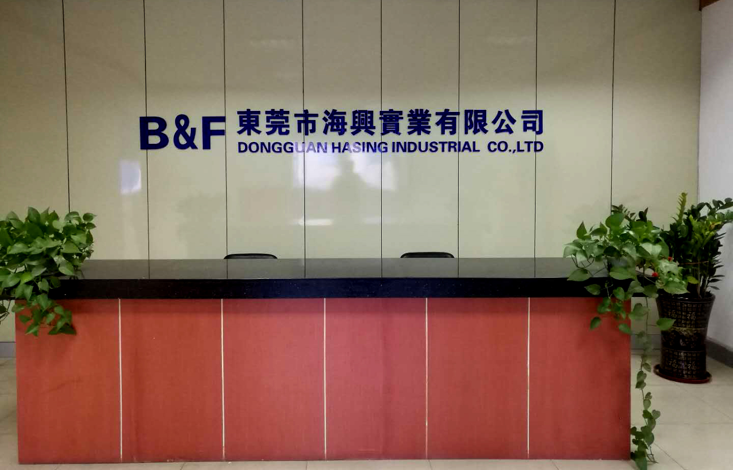 海兴网站设计与建设