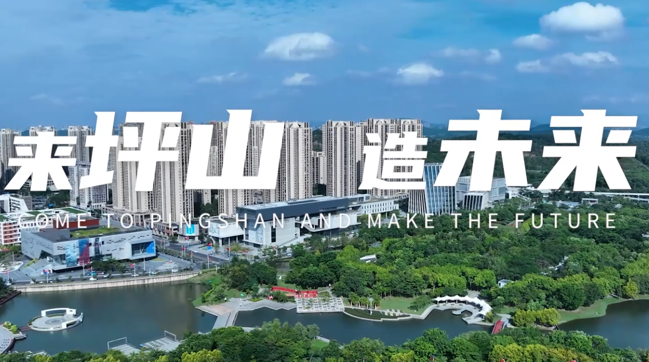 坪山区网站建设中