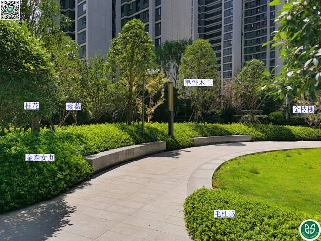 马安中海阅江府备案价