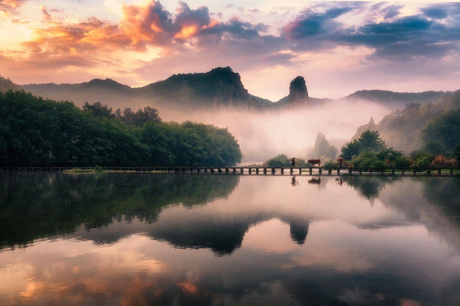 丽水怎么查网签备案