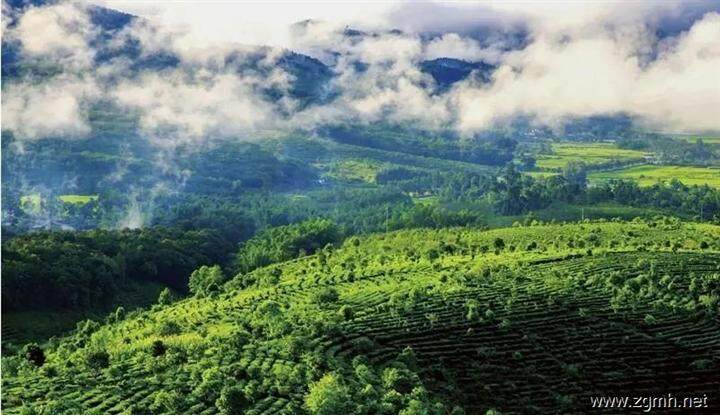 云南电脑服务器租用