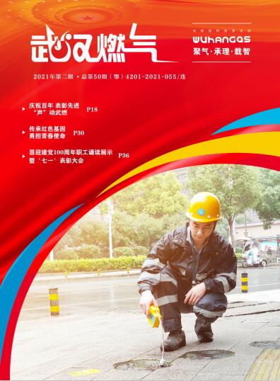 武汉燃气商用炉备案销售目录