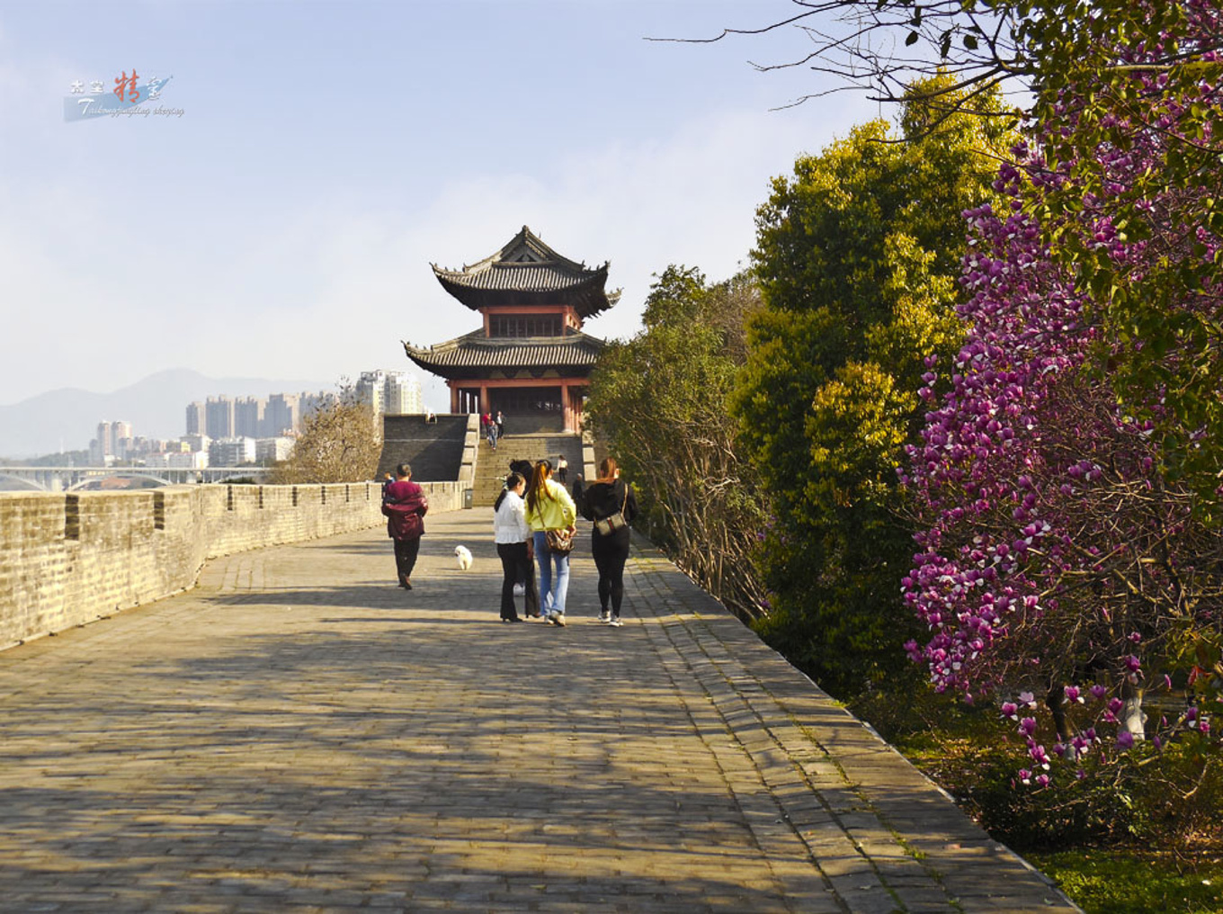 赣州市房管局备案查询官网2021年