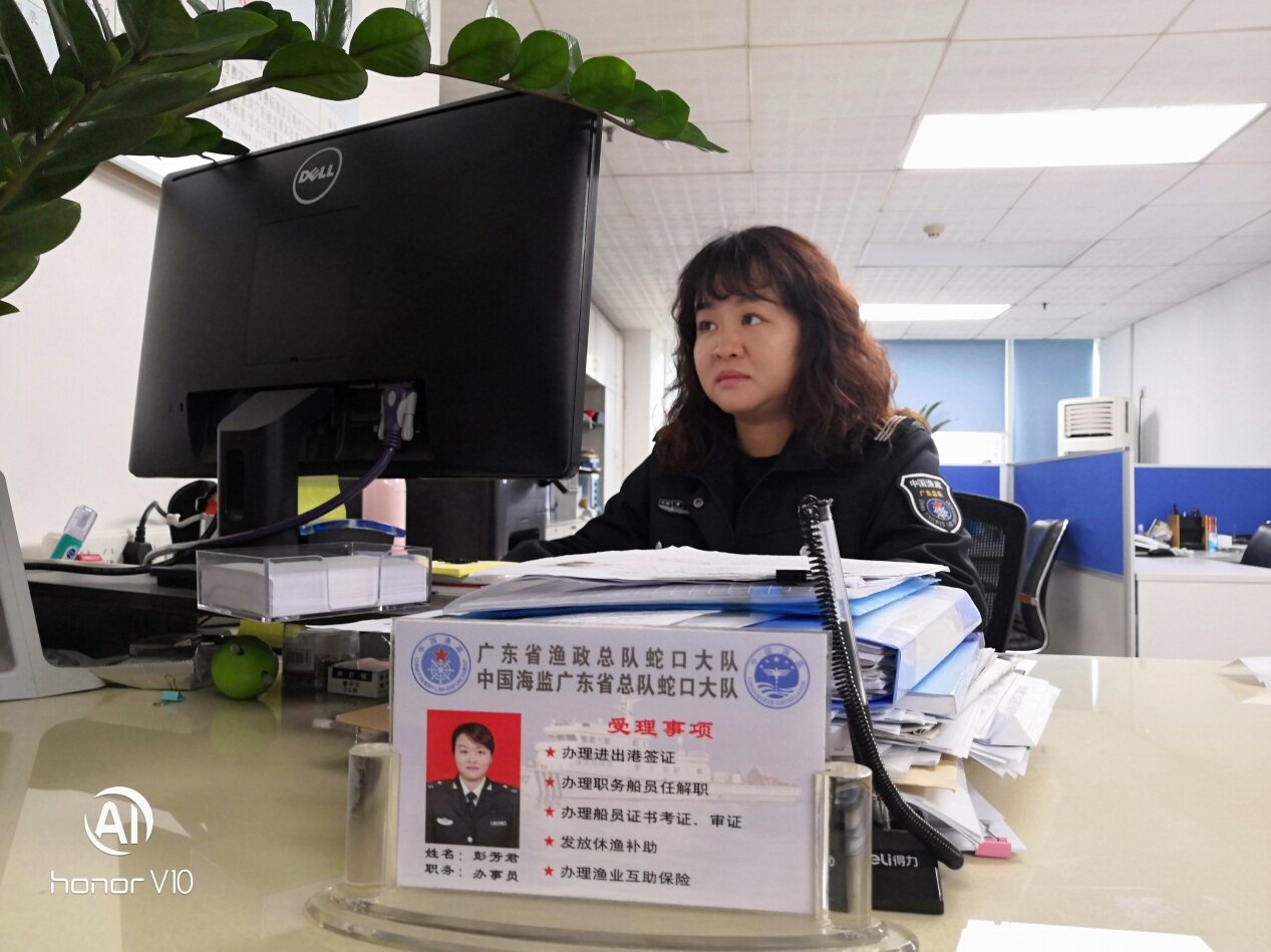 行政执法备案审查平台