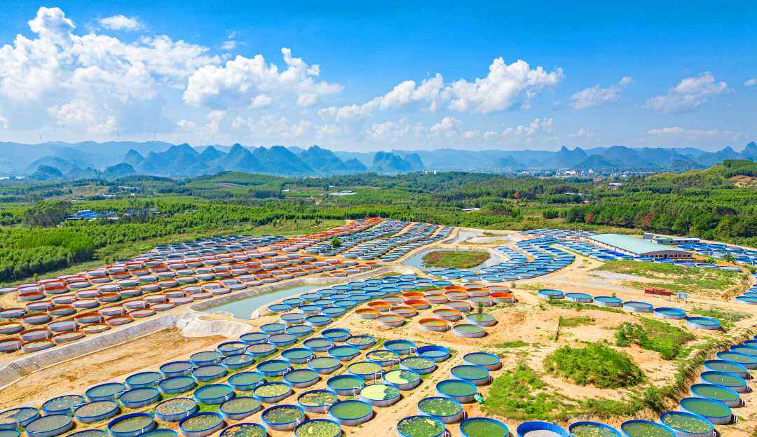 广西水产养殖备案