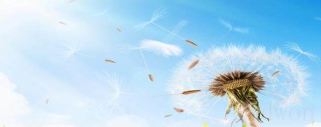 风电主机厂哪些是国企