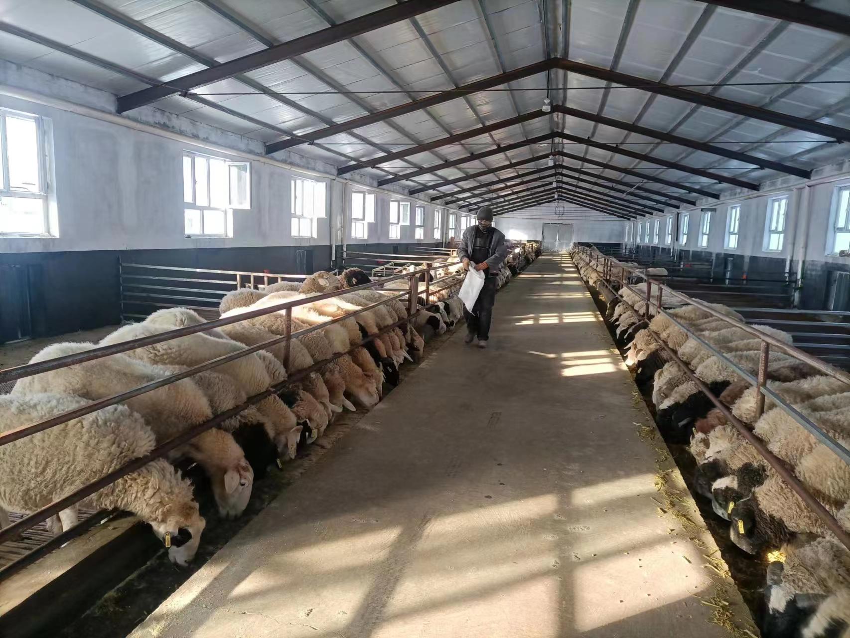 养殖土地备案可以补办吗