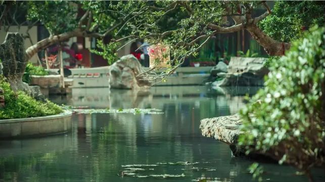 龙光前海天境深圳备案号多少