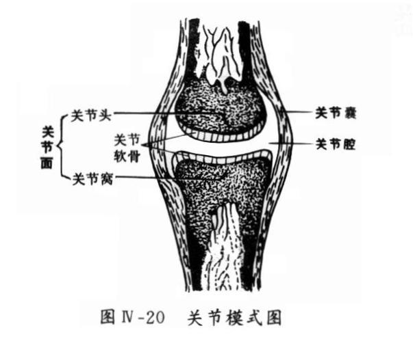 关节镜技术备案要求