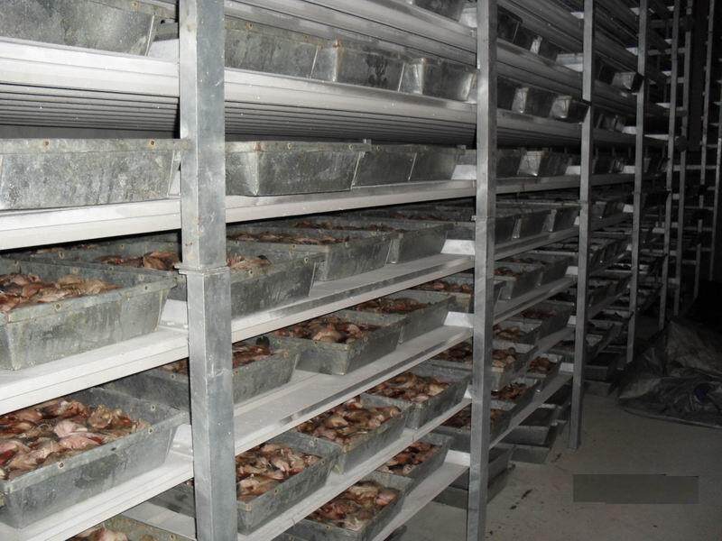 自建冻库需要备案吗