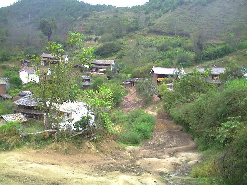 高明陈村网站建设
