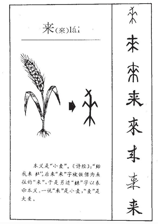 来分期催款人员告知我备案号