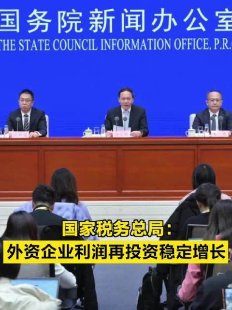 对外咨询免税税务备案是每年备吗