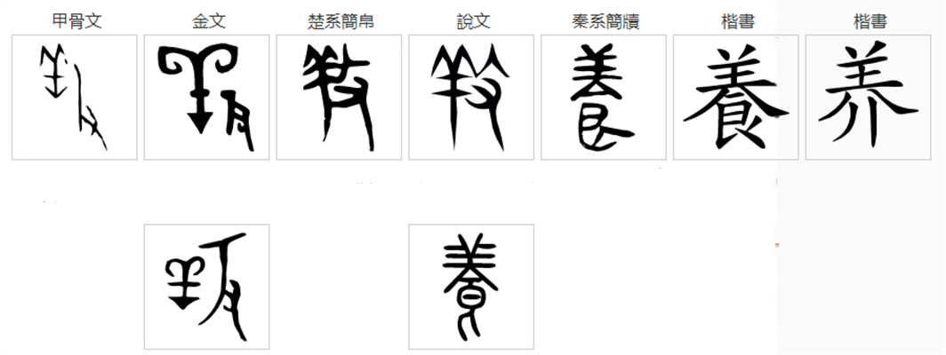 养茶杯犬需要备案吗