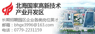 高新开发区网站建设机构哪家好