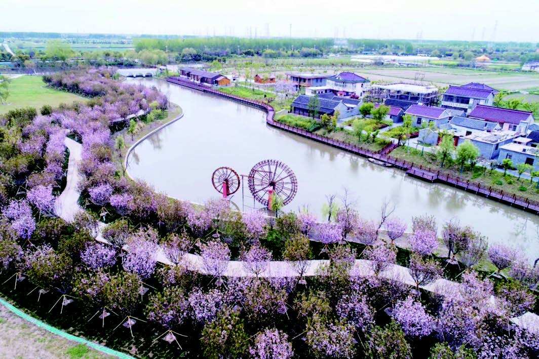 泰州市姜堰区中天清华园备案价