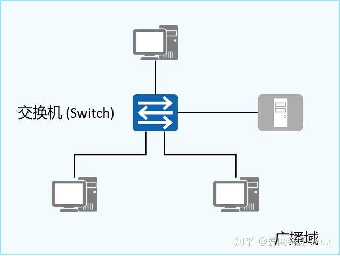 网络主机用途可以分为哪两类