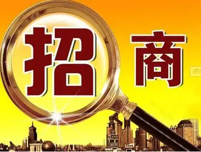 招商网站建设制作网络公司