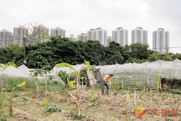 家庭农场到农经站备案有什么作用