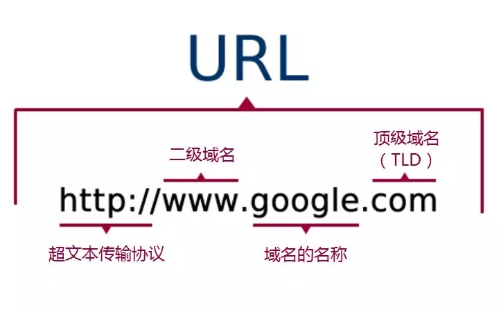 url 与域名