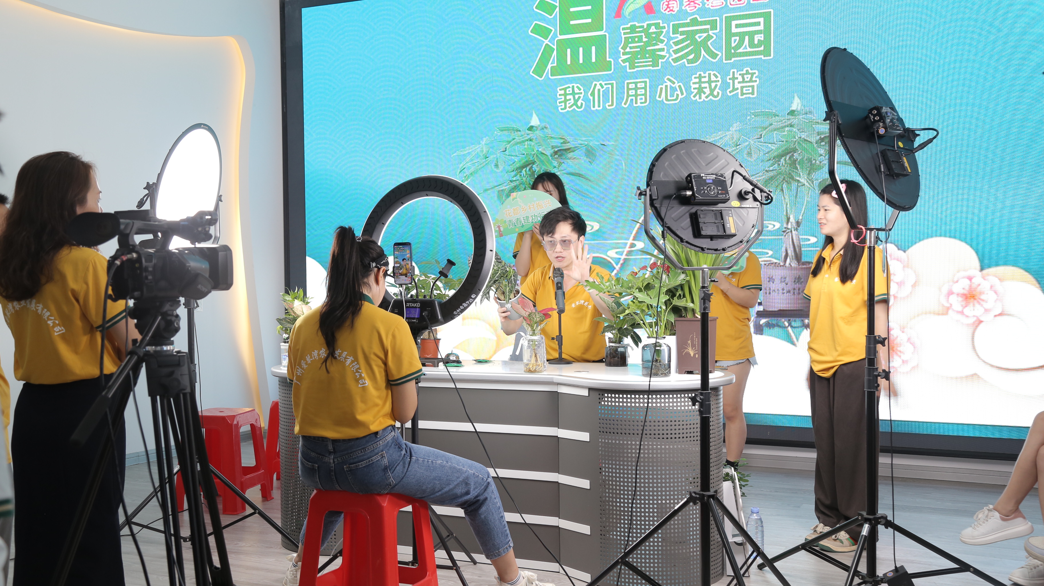 视频会议主机哪个比较好