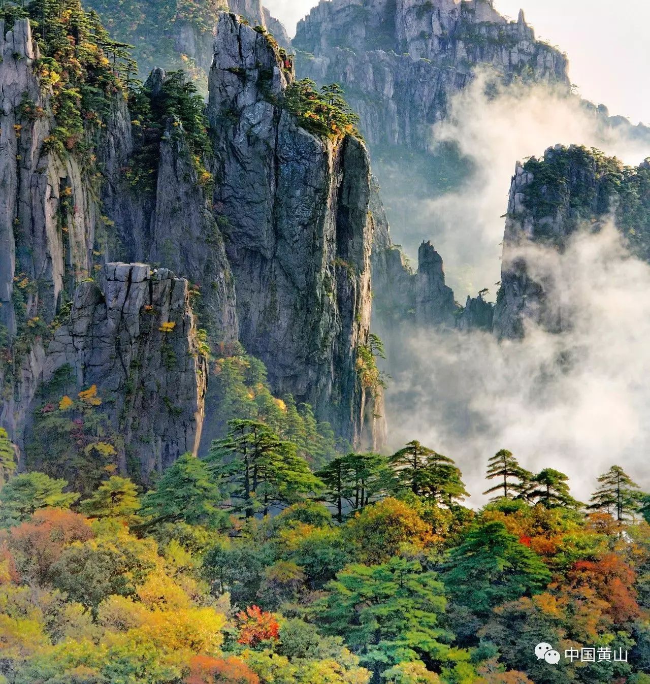 黄山市异地就医要备案么