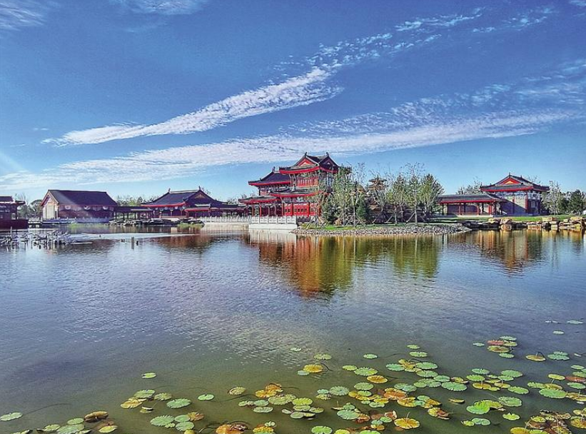 沧州市信合金狮国际备案价