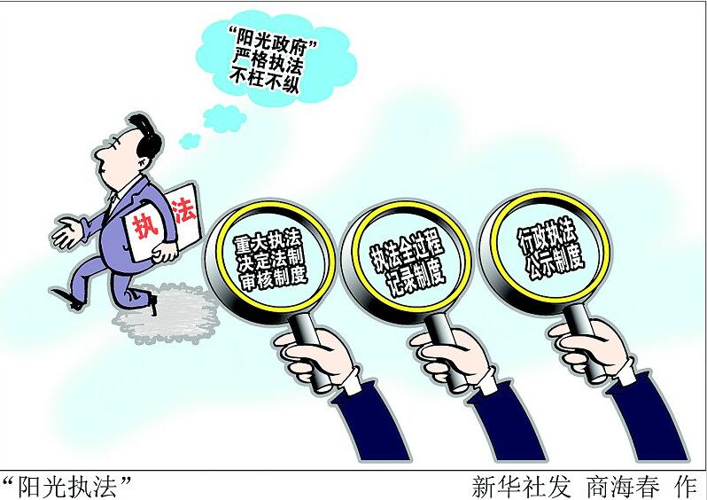 政府法制办规范性文件备案审查工作总结