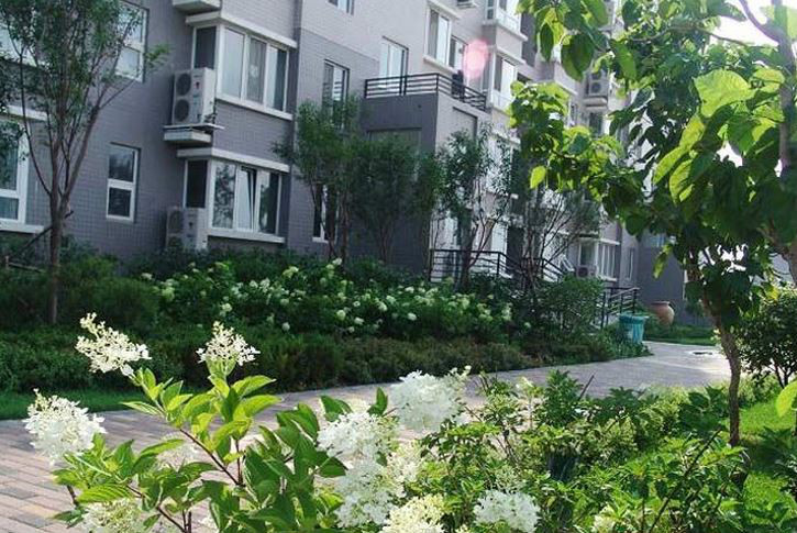 浑南新区便宜的网站建设哪家好
