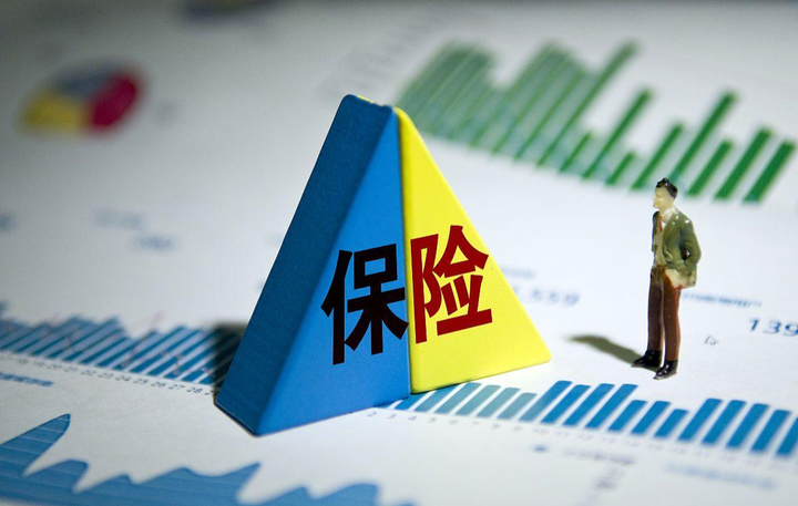 保险公司是否向县级政府备案