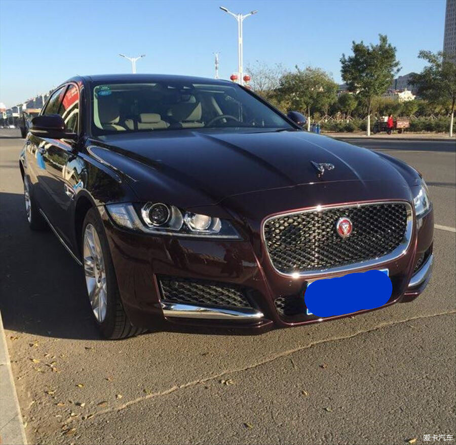 捷豹xfl贴立标豹子能去备案吗