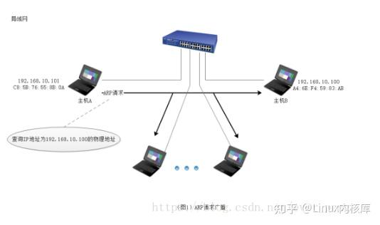 什么主机将侦听arp请求
