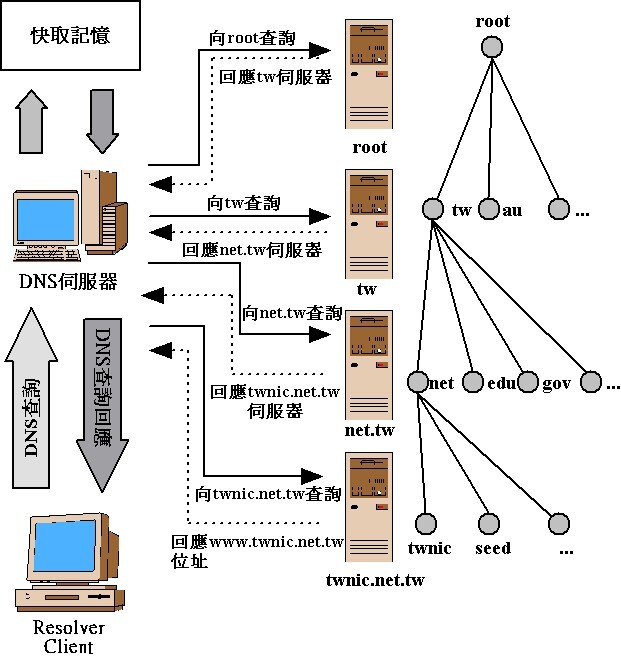 dns查询一个不存在的域名