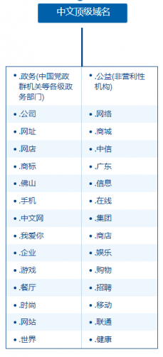 互联网中文域名公司