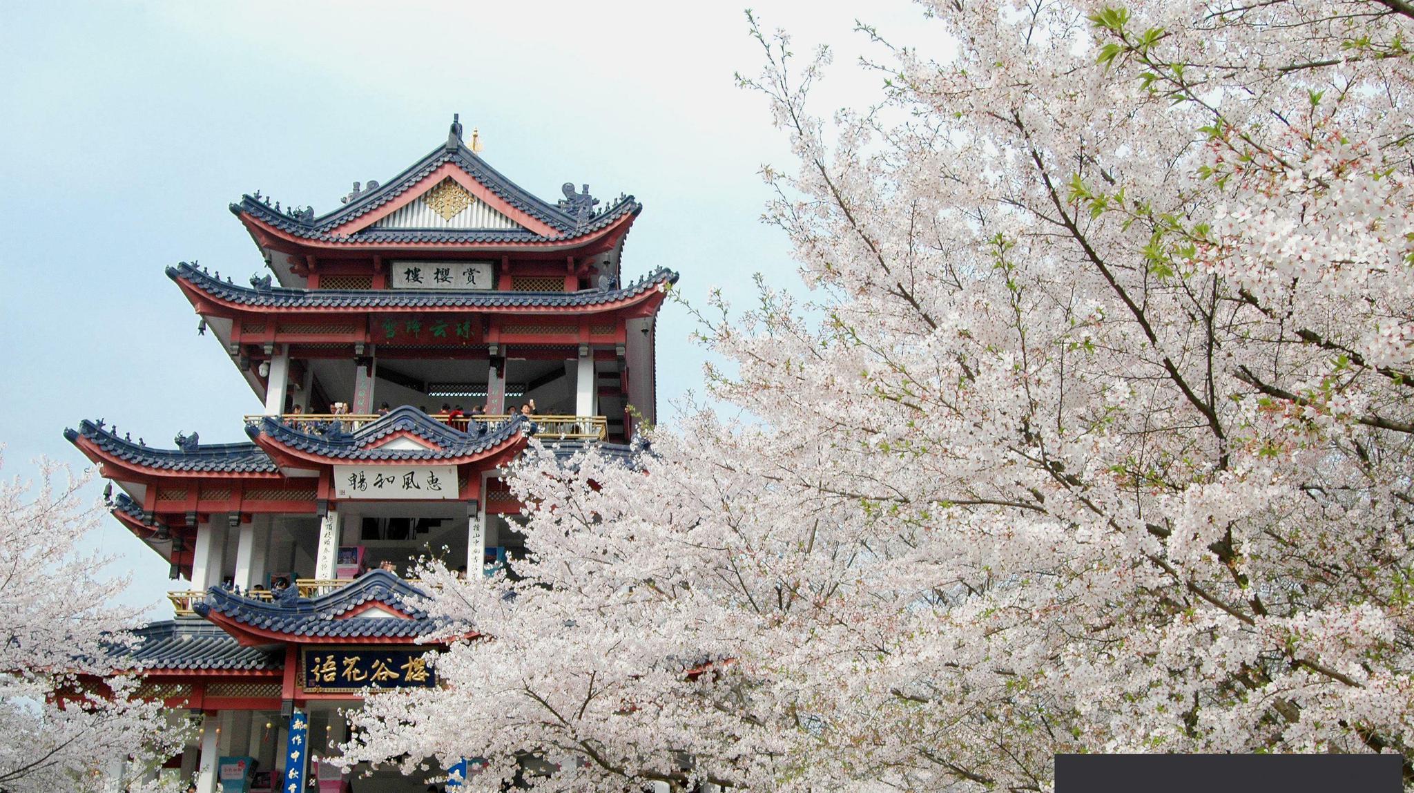 无锡船舶主机油液检测公司